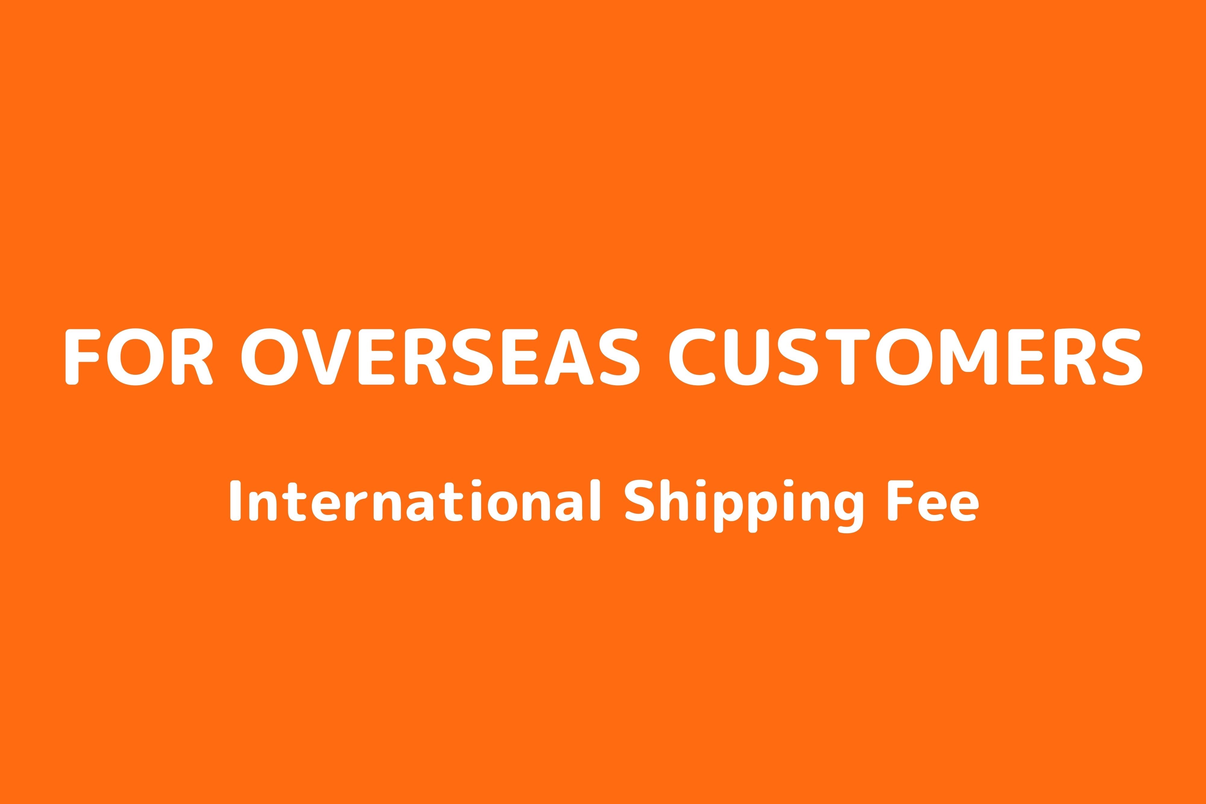 FOR OVERSEAS CUSTOMERS