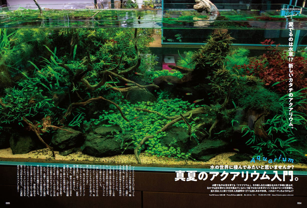 Lightning 2023年9月号 Vol.353「夏のギア。」(2023/7/28発売)