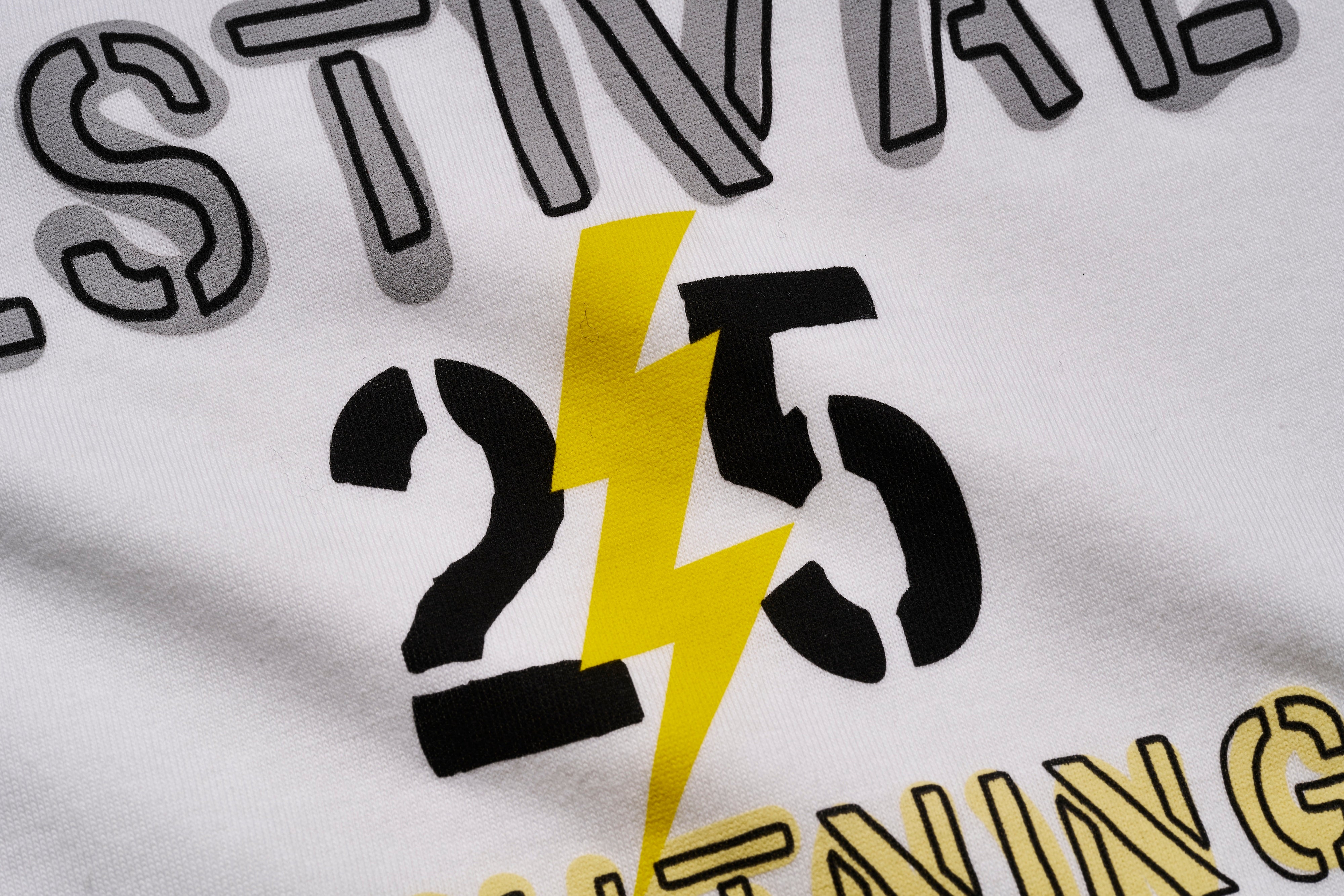 稲妻フェスティバル2025 Tシャツ