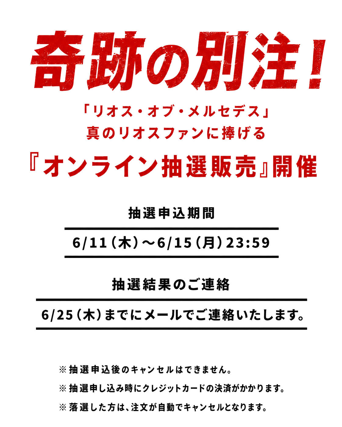 ※抽選販売※【奇跡の別注】Lightning × Rios of Mercedes 超希少ウエスタンブーツ【2027年8月27日頃出荷】