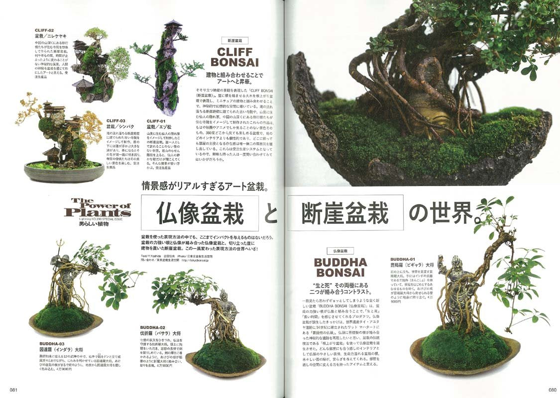 Lightning 2018年6月号 Vol.290「男らし植物」(2018/4/28発売)|メンズファッション誌「Lightning」公式オンラインストア