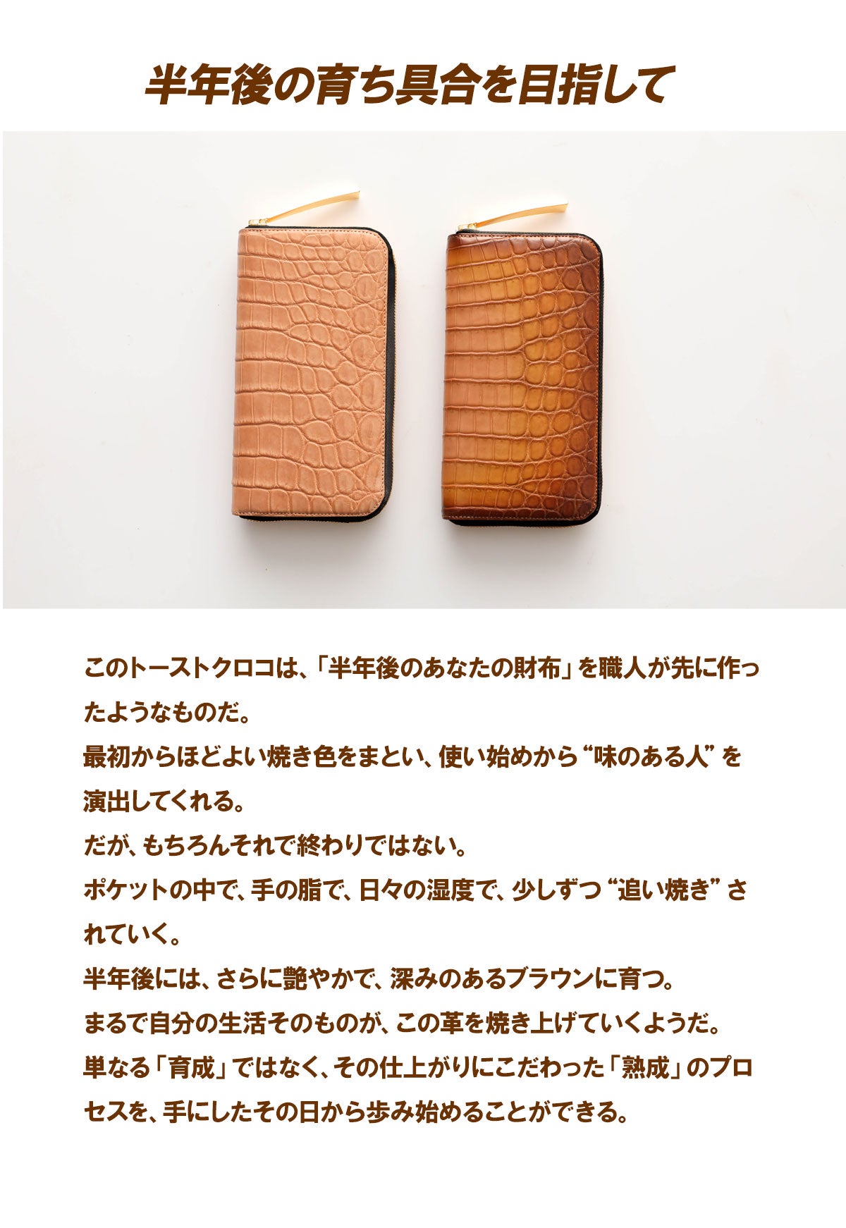 池田工芸 ×GUILDTOKYO× Lightning 「ヌメ革」手染めトーストクロコダイル 「ラウンドジップビッグウォレット」