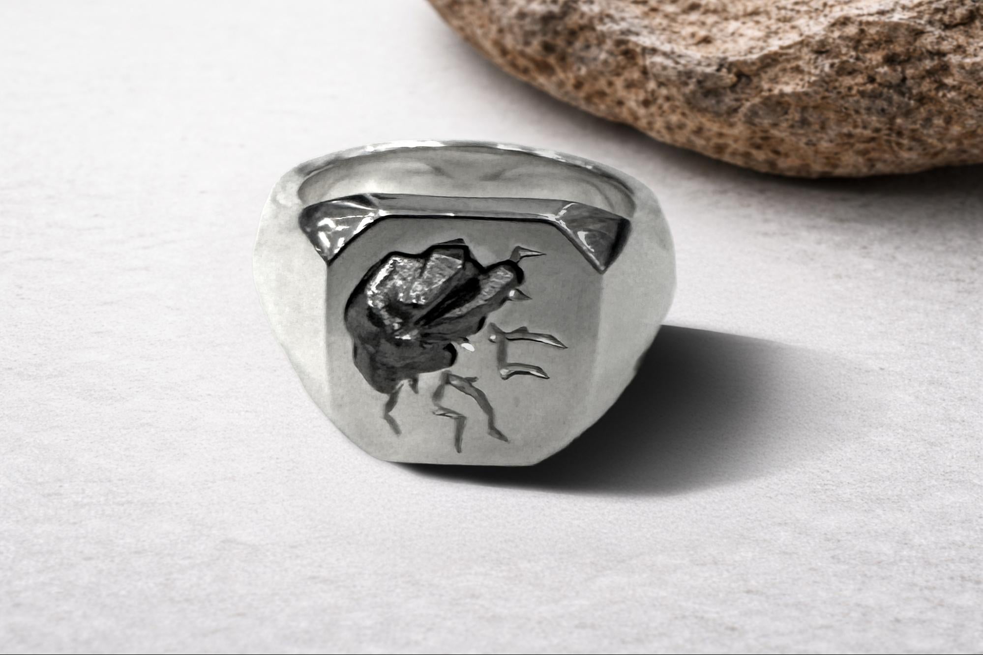 Shooting Star Signet Ring “METEOR”【8月7日頃出荷】