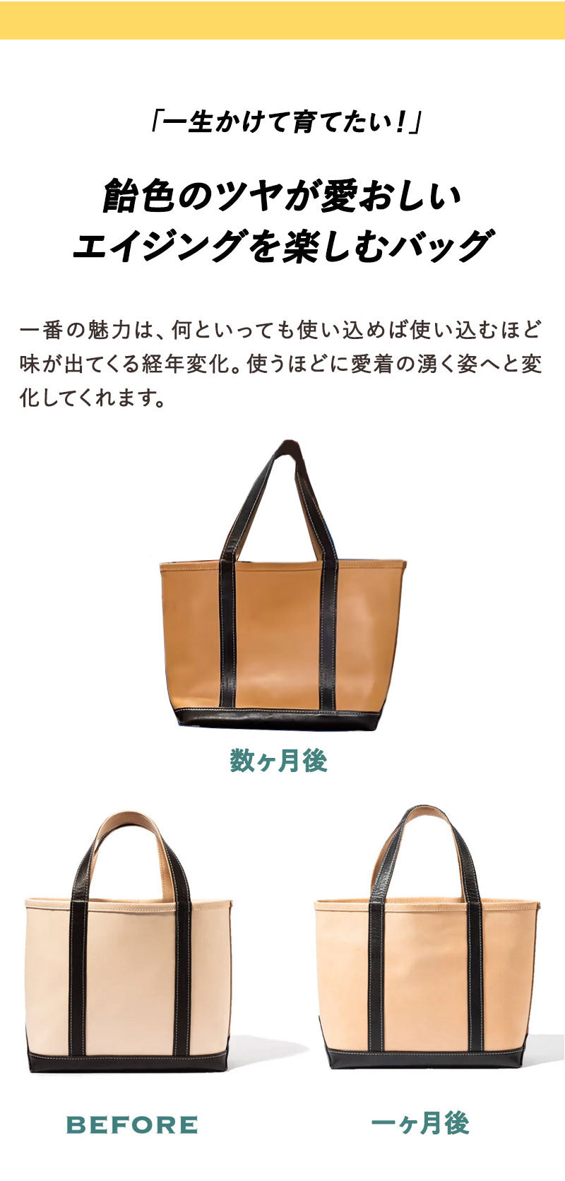 天野宝国 × 2nd ヌメレザートートバッグ（Large）