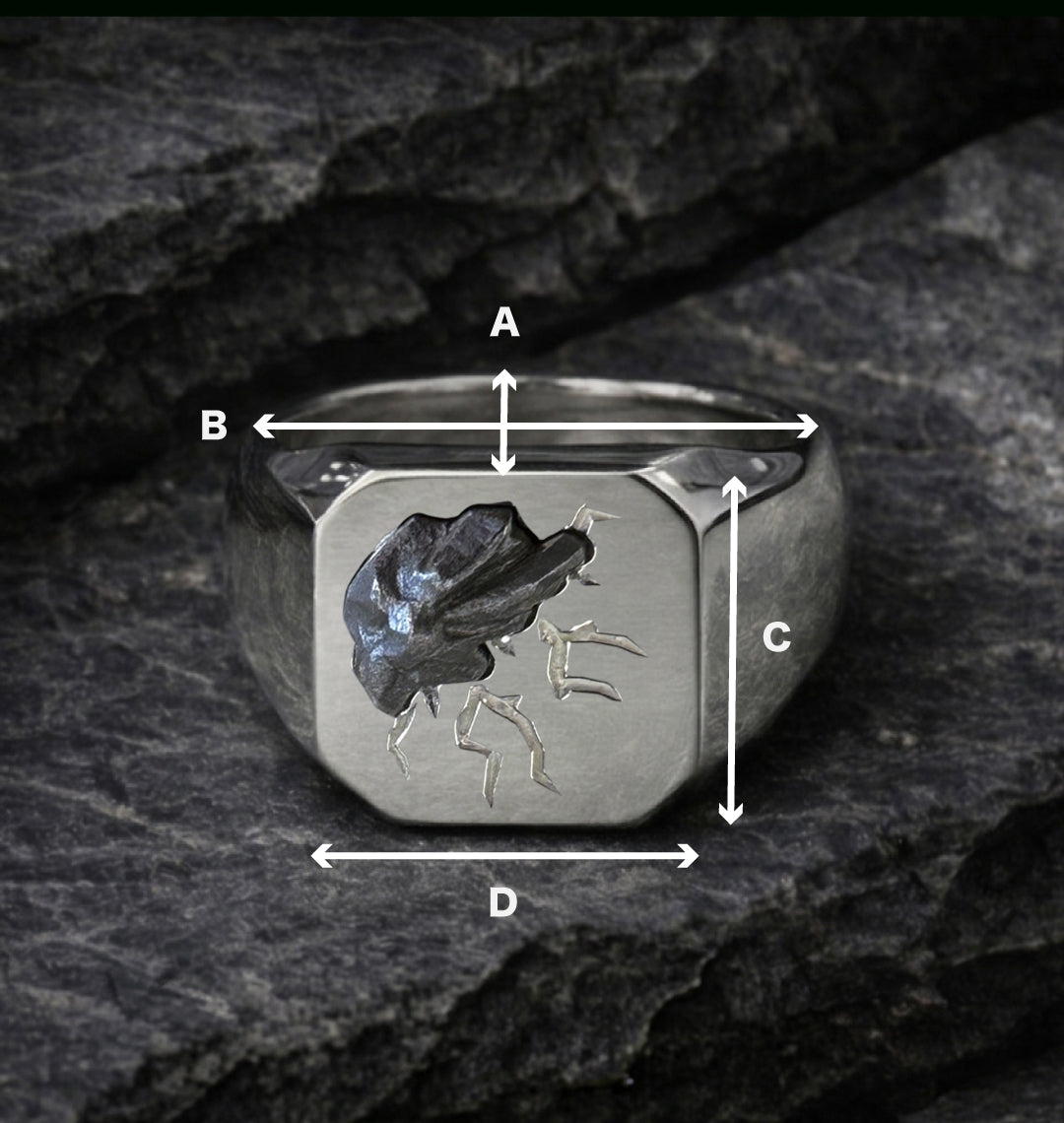 Shooting Star Signet Ring “METEOR”【8月7日頃出荷】