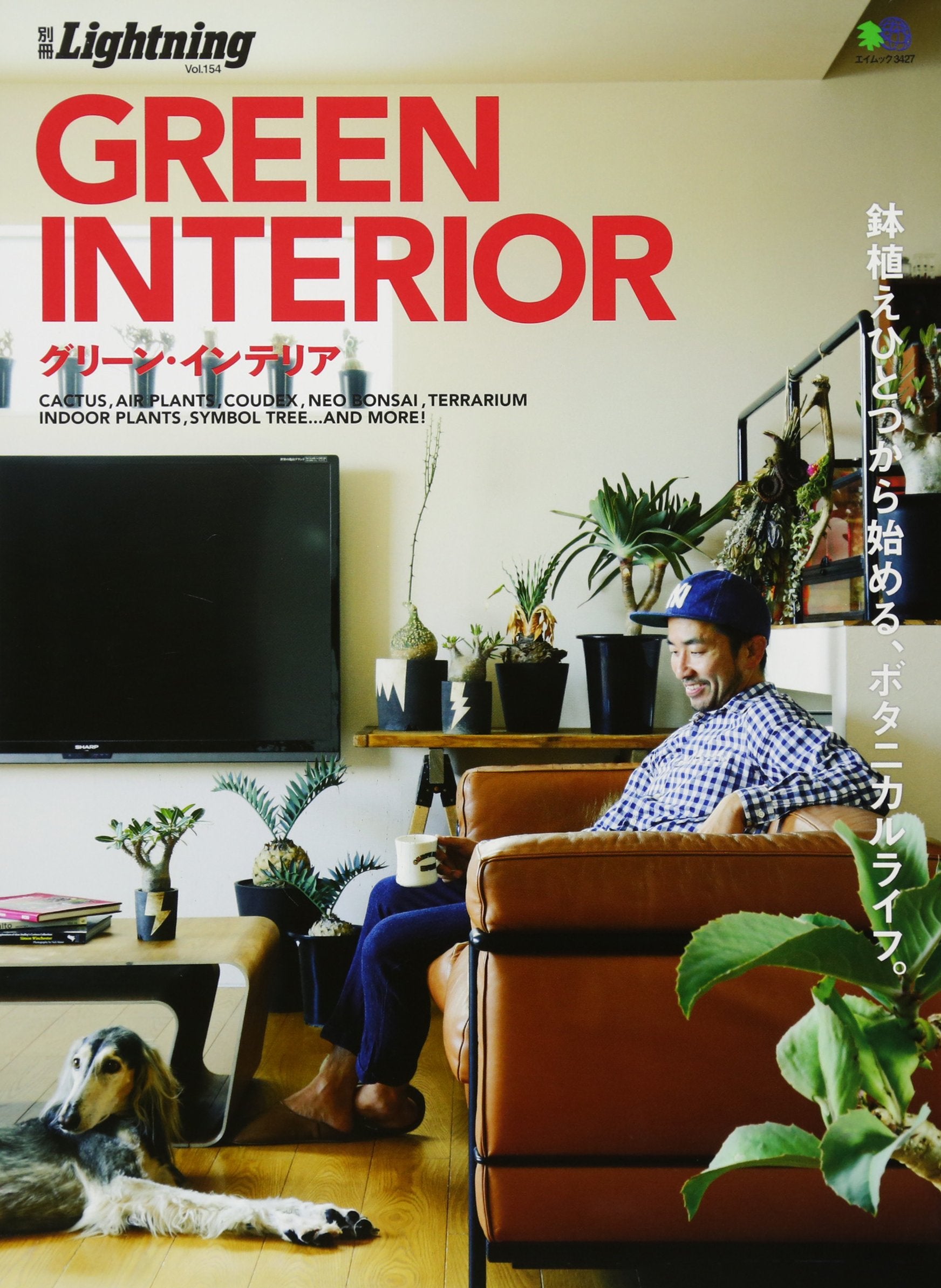 別冊Lightning Vol.154 「GREEN INTERIOR グリーン・インテリア」(2016/6/25発売)*